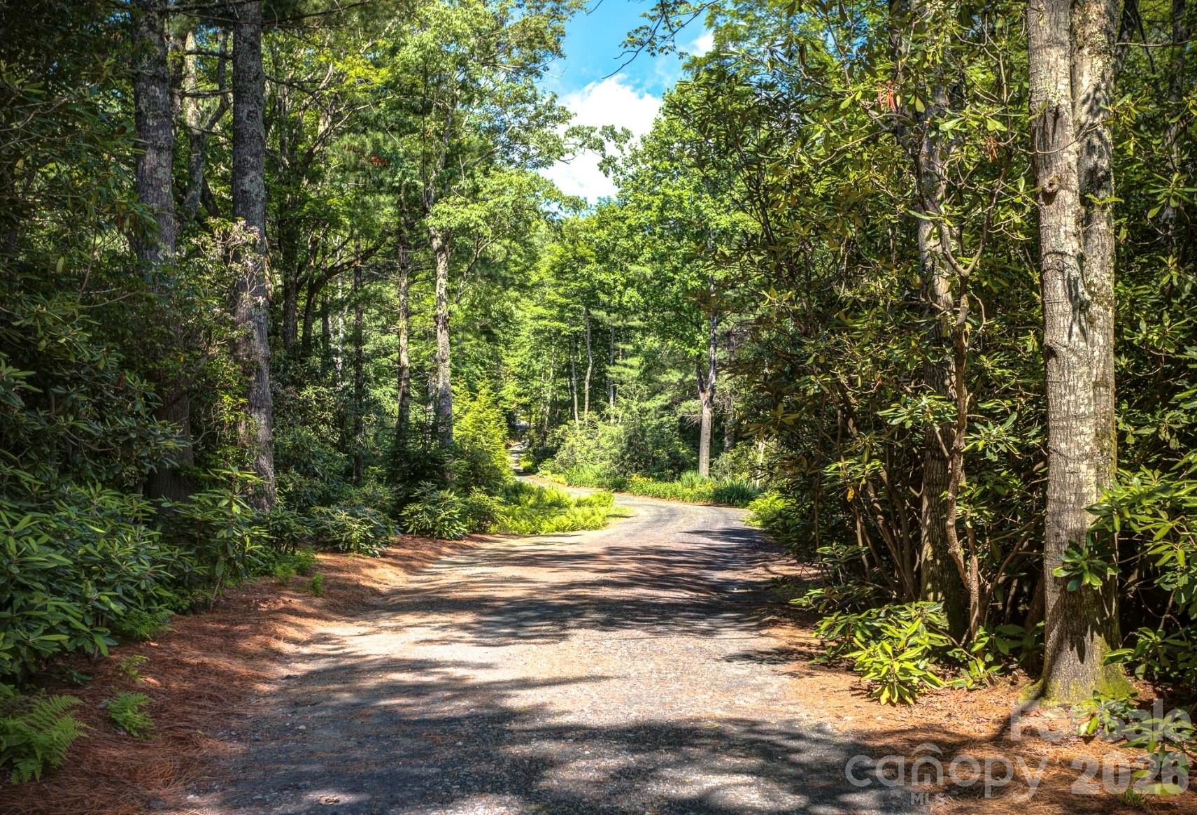 3434 Old Jonas Ridge Road Newland, NC 28657 - Photo 45 of 47