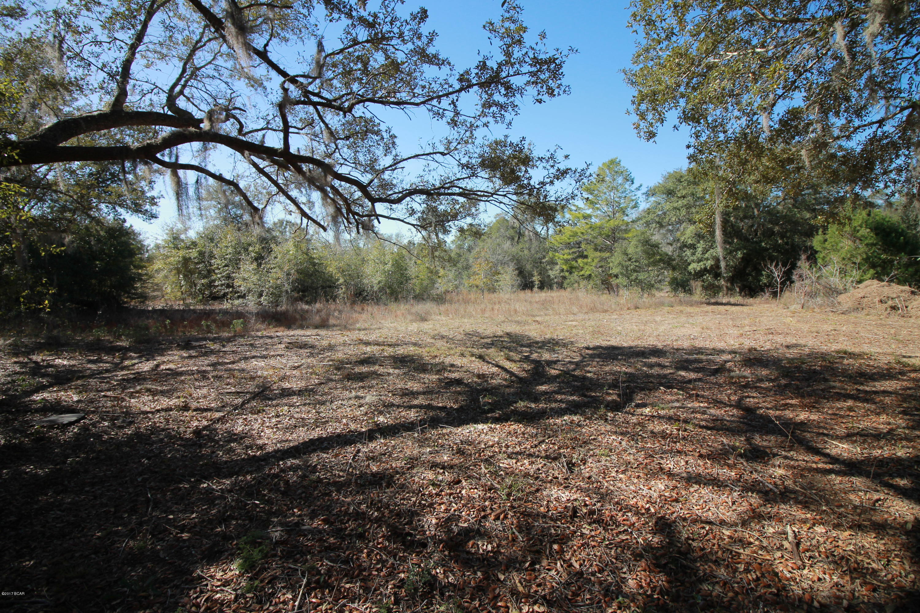 3737 Hicks Lake Road Vernon, FL 32462 - Photo 14 of 28 Gallery Image 14