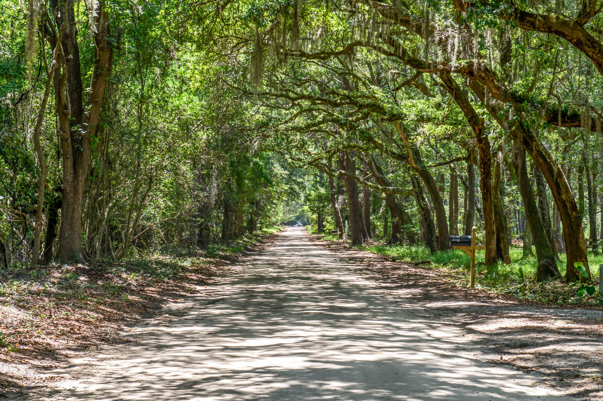 6258 Josie Ridge Road Wadmalaw Island, SC 29487 - Photo 42 of 43 HFL_6258 JOSIE RIDGE-40