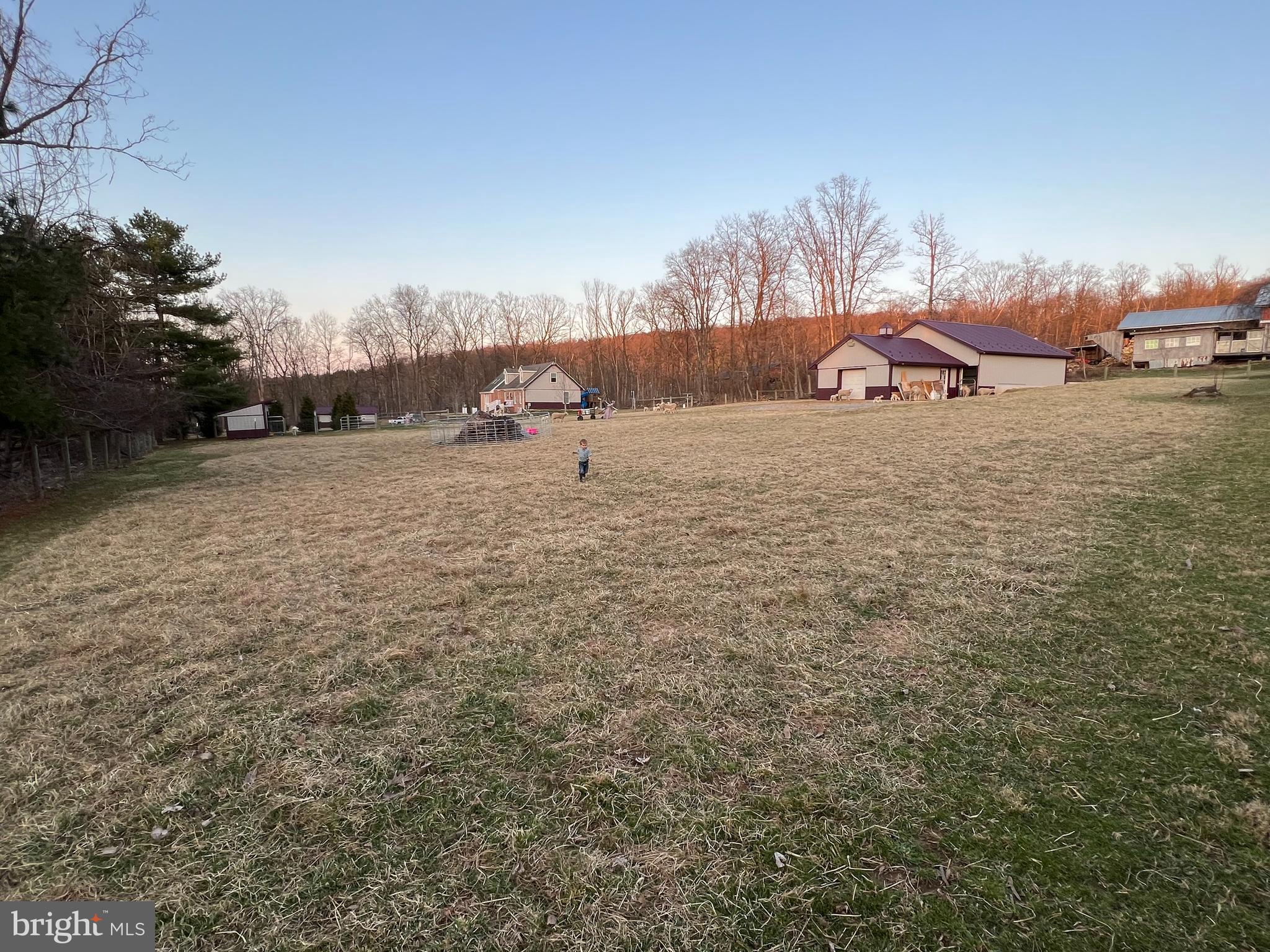 11733 Pleasant Valley Road Smithsburg, MD 21783 - Photo 38 of 47 Gallery Image 38