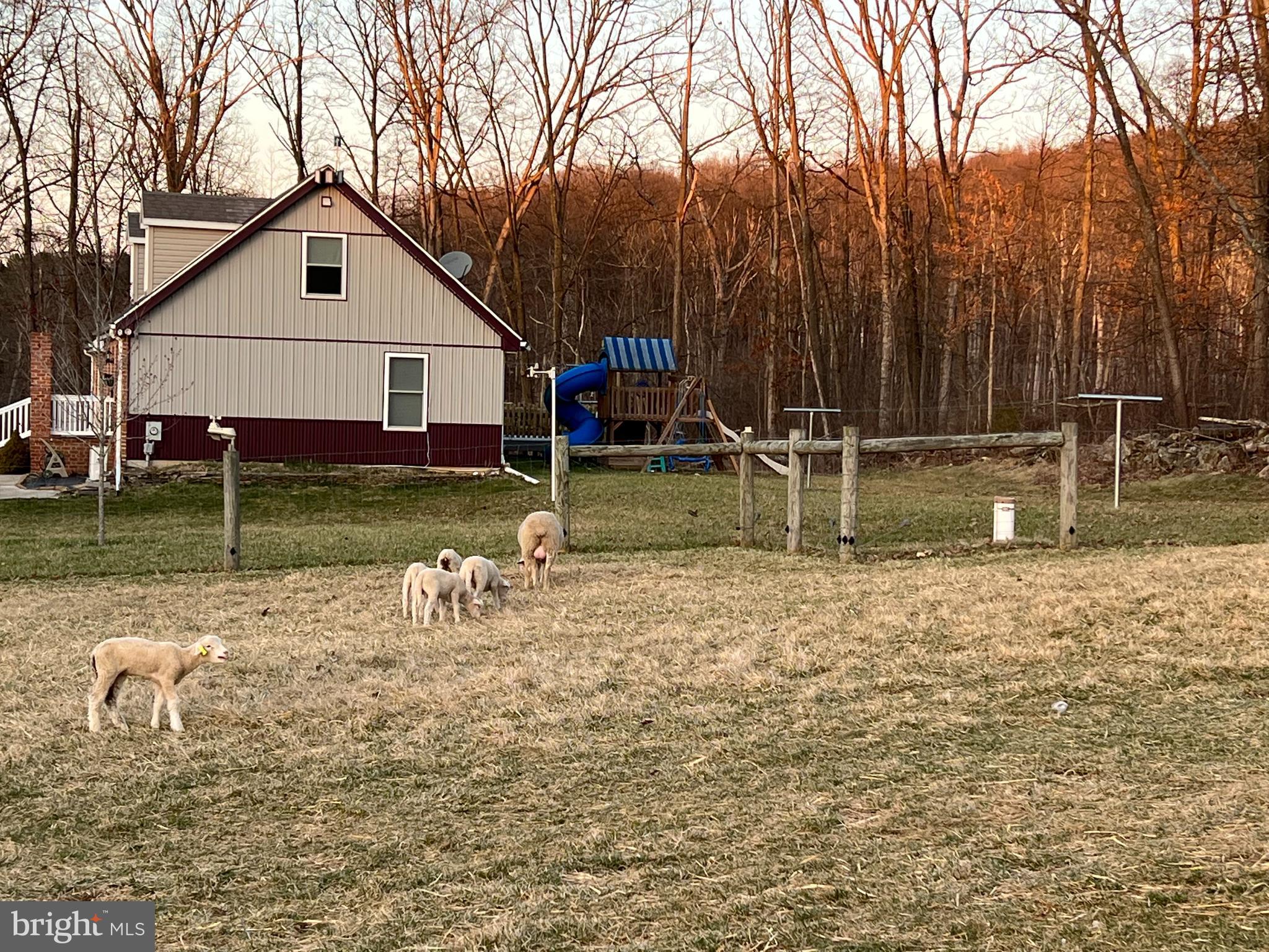 11733 Pleasant Valley Road Smithsburg, MD 21783 - Photo 10 of 47 Fences and pastures