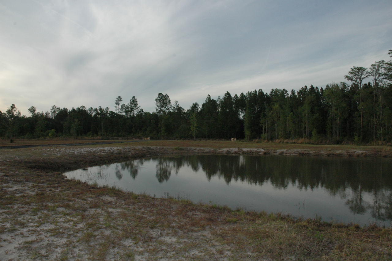 12414 Fred Harvey Road Sanderson, FL 32087 - Photo 11 of 23 POND