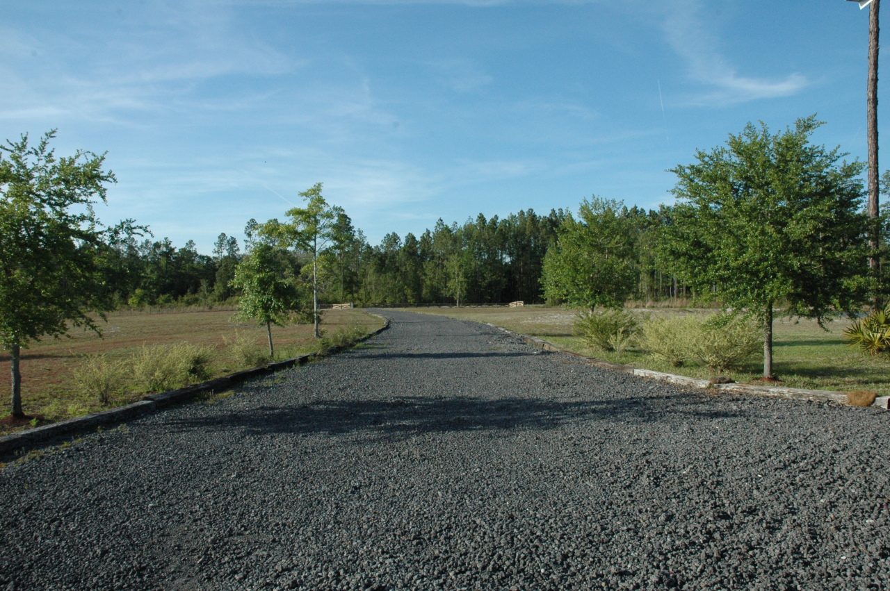 12414 Fred Harvey Road Sanderson, FL 32087 - Photo 12 of 23 DRIVEWAY