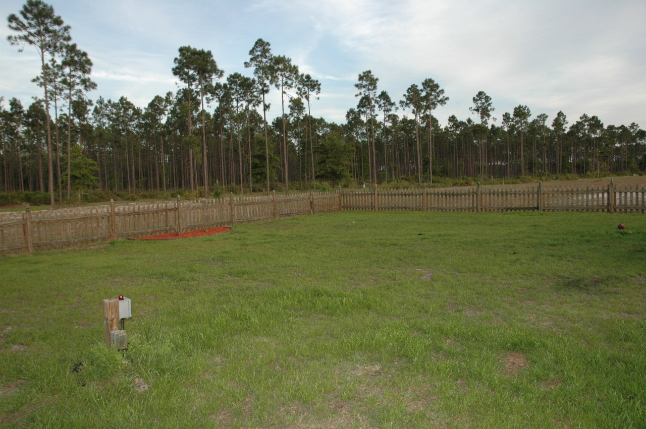 12414 Fred Harvey Road Sanderson, FL 32087 - Photo 15 of 23 BACKYARD
