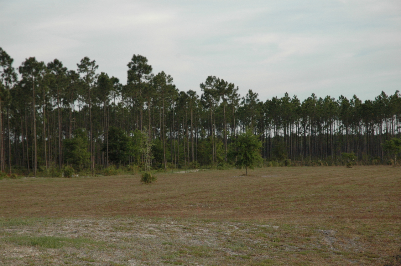 12414 Fred Harvey Road Sanderson, FL 32087 - Photo 20 of 23 PROPERTY PIC1