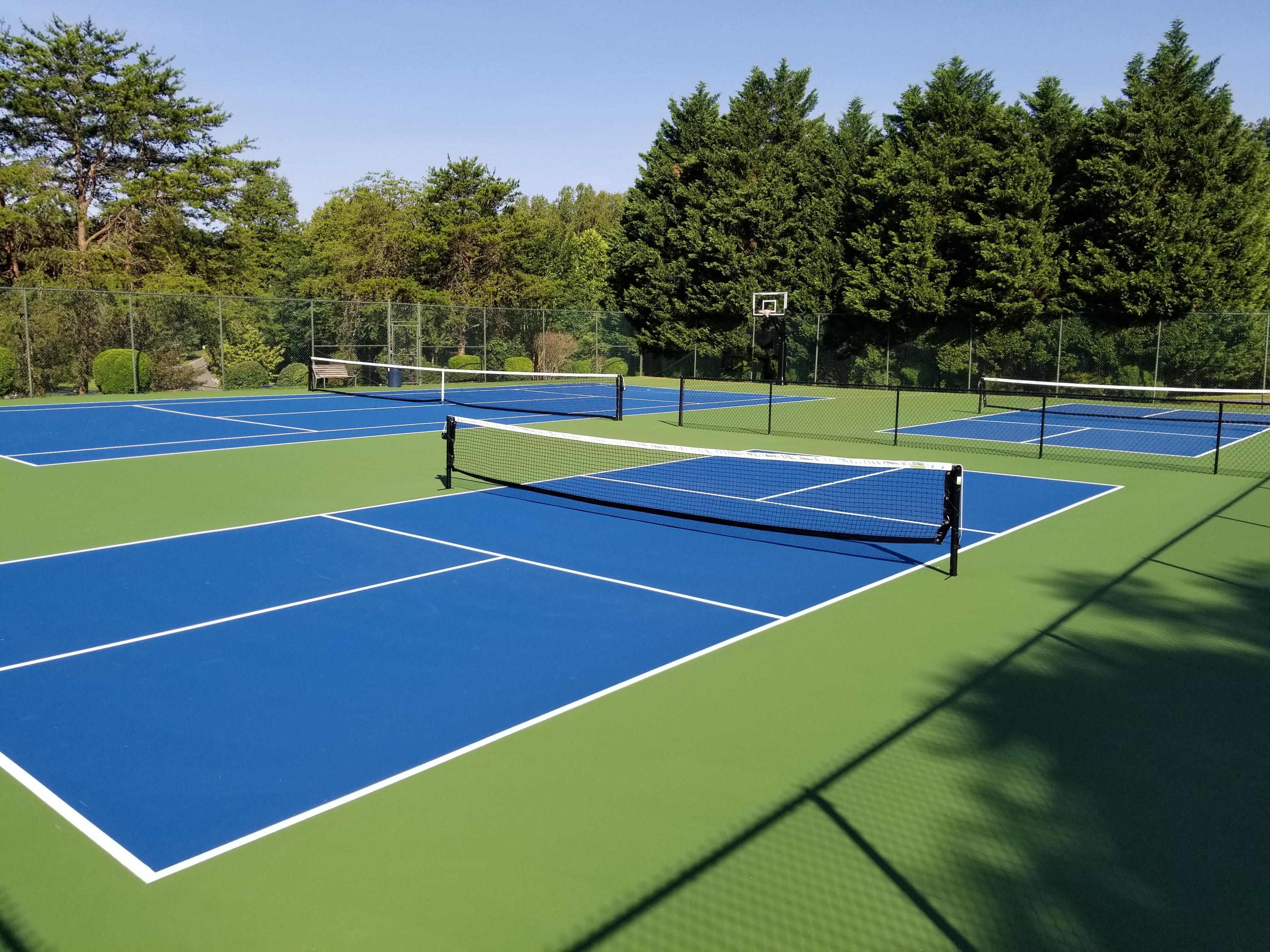 114 Woodley Road Moneta, VA 24121 - Photo 43 of 50 Pickle Ball Courts