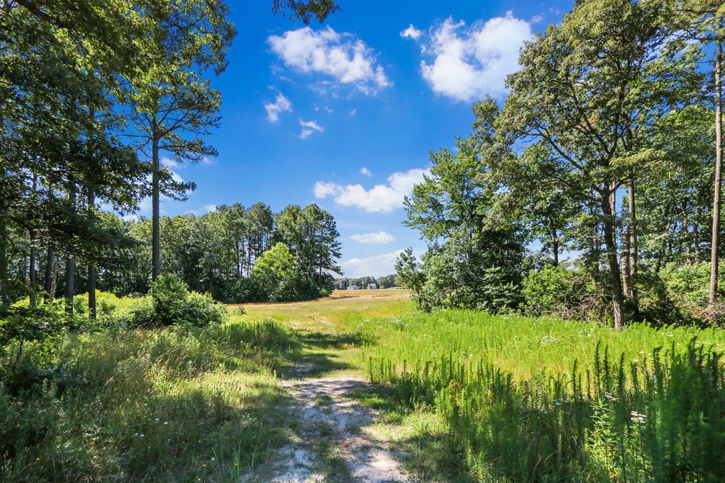 Lot 6 Fleming Road, Unit 6 Horntown, VA 23395 - Photo 6 of 26