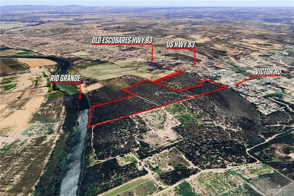 a view of a city with lots of trees