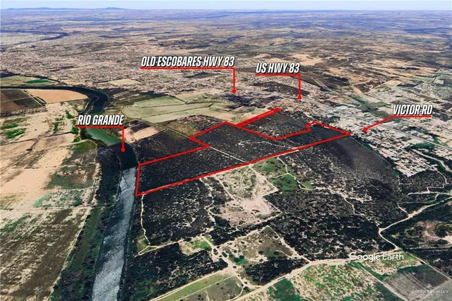 a view of a city with lots of trees