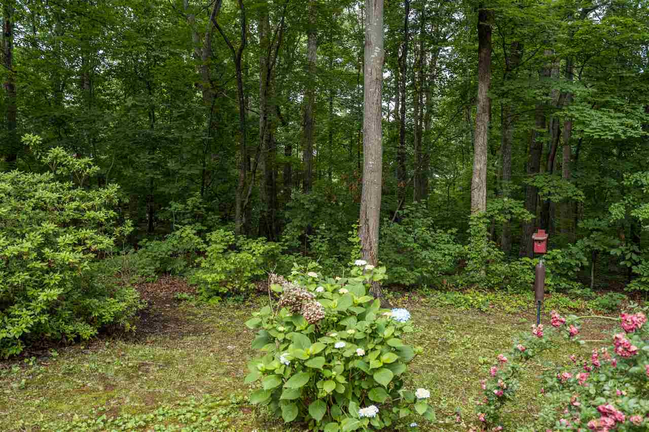 101 Queensferry Road Cary, NC 27511 - Photo 22 of 25 Backyard