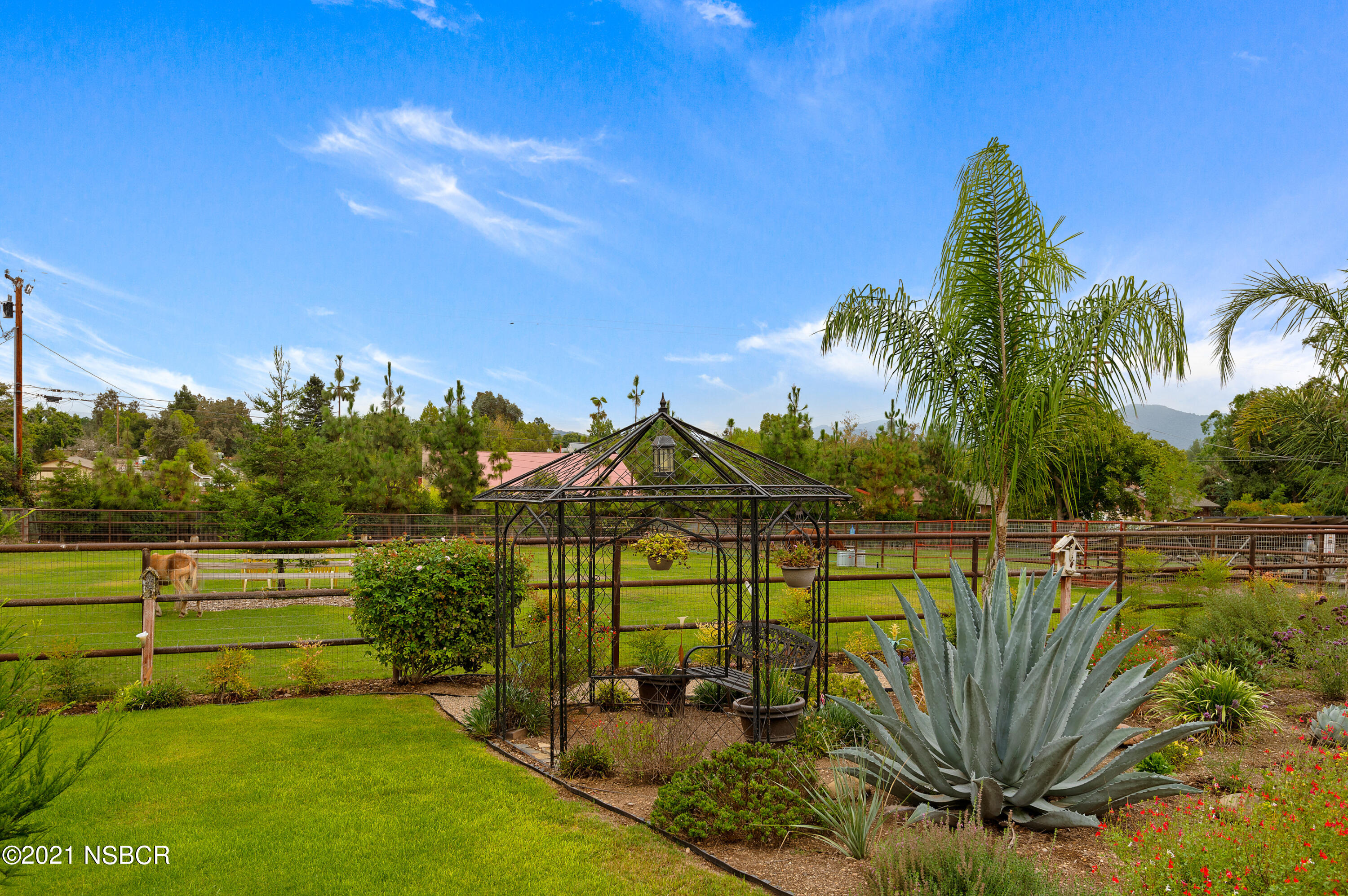 1292 Highland Road Santa Ynez, CA 93460 - Photo 5 of 28 21 - Horse Pasture