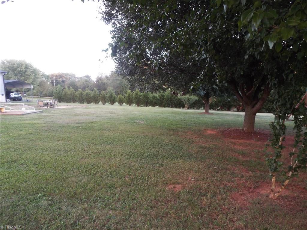 1255 William Fowler Road King, NC 27021 - Photo 19 of 19