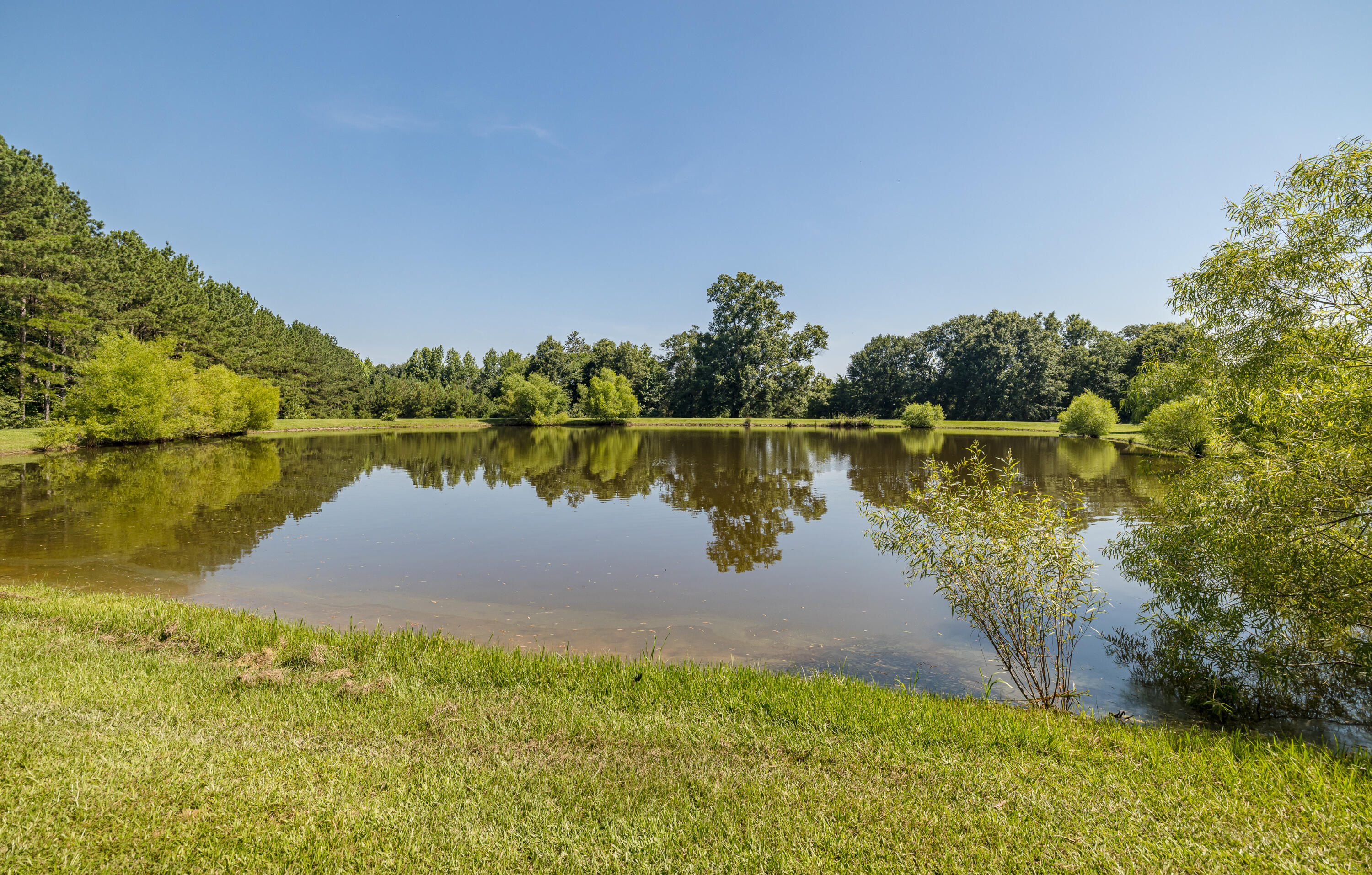 165 Lanier Road Johnston, SC 29832 - Photo 65 of 75 165LanierRd-65