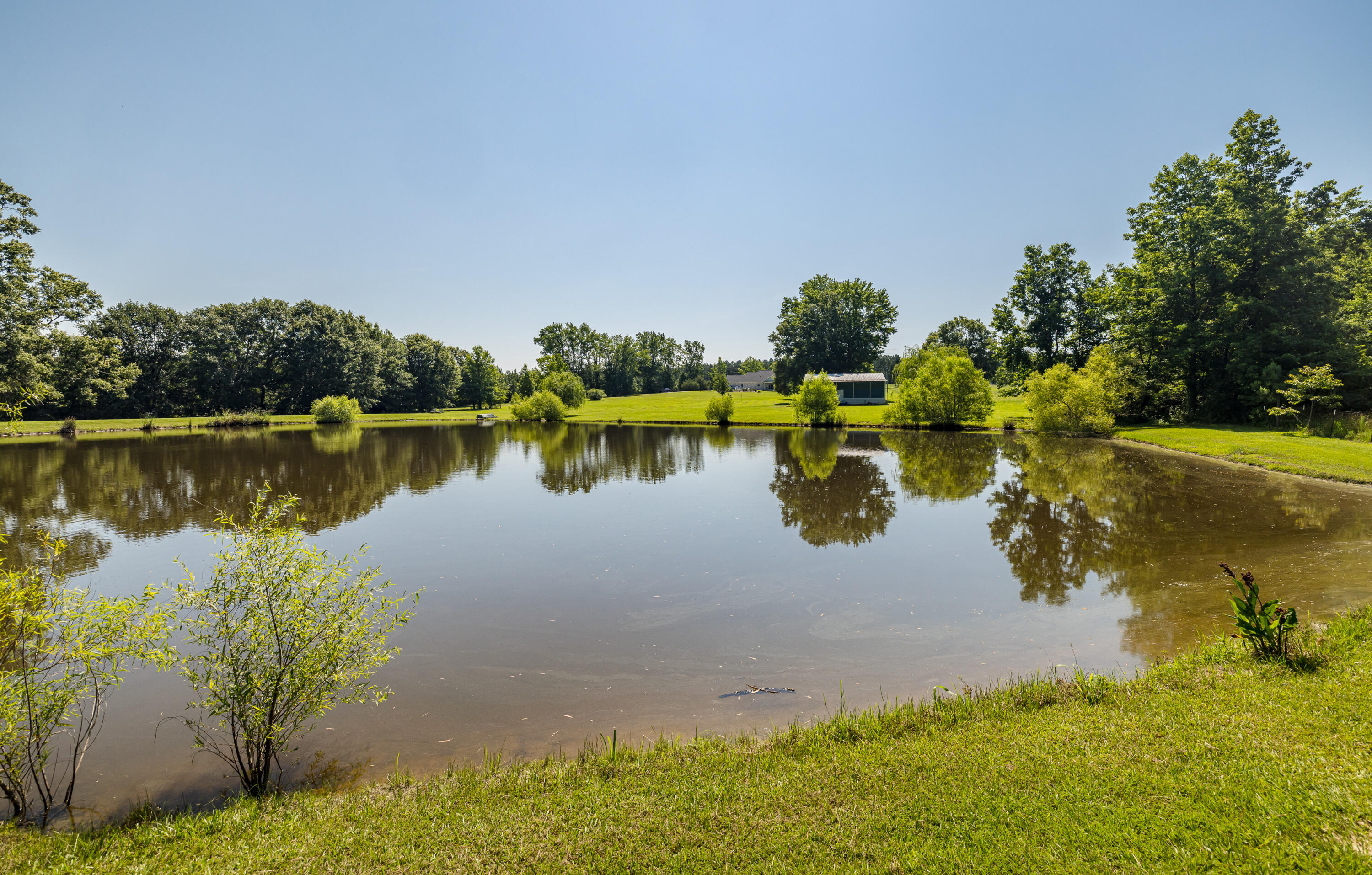 165 Lanier Road Johnston, SC 29832 - Photo 66 of 75 165LanierRd-66