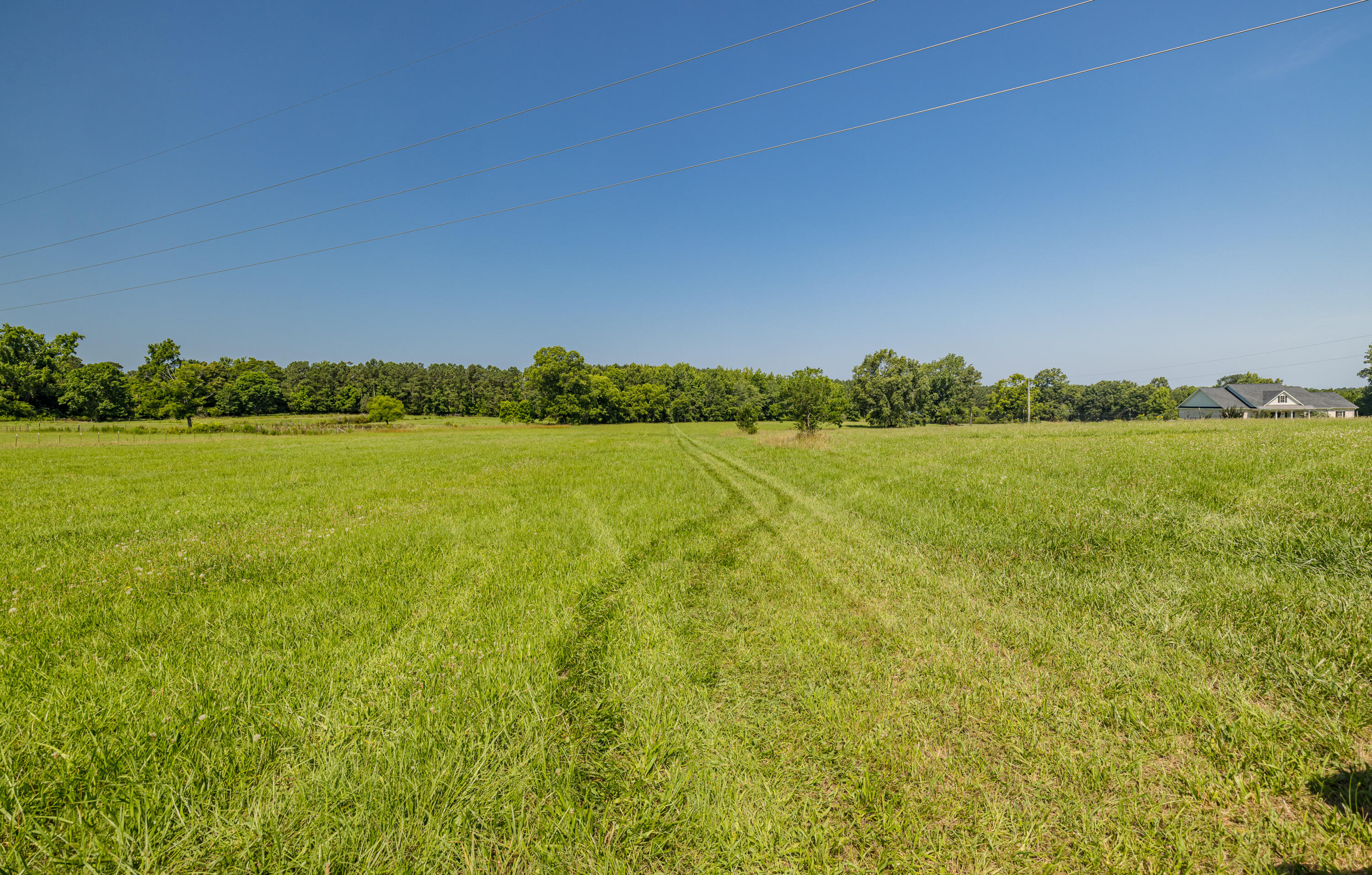 165 Lanier Road Johnston, SC 29832 - Photo 68 of 75 165LanierRd-68