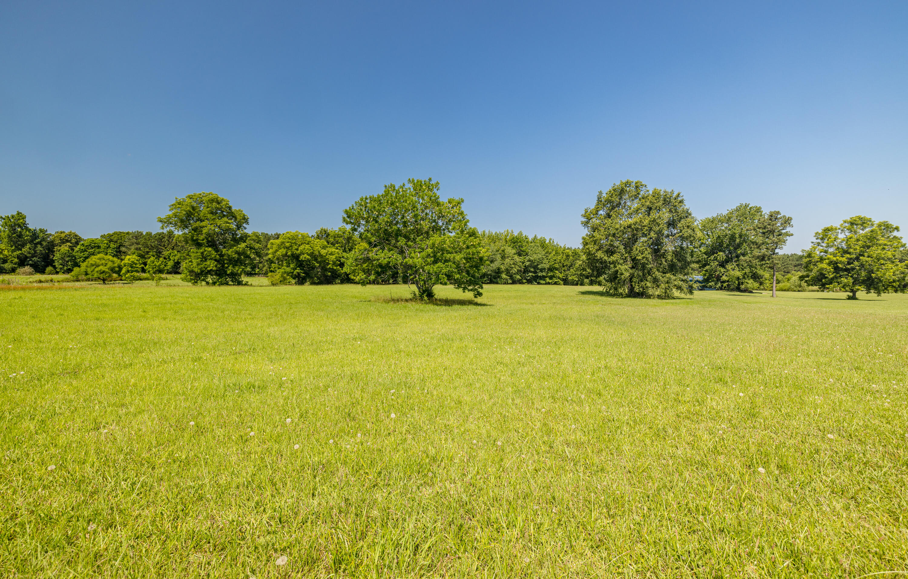 165 Lanier Road Johnston, SC 29832 - Photo 69 of 75 165LanierRd-69