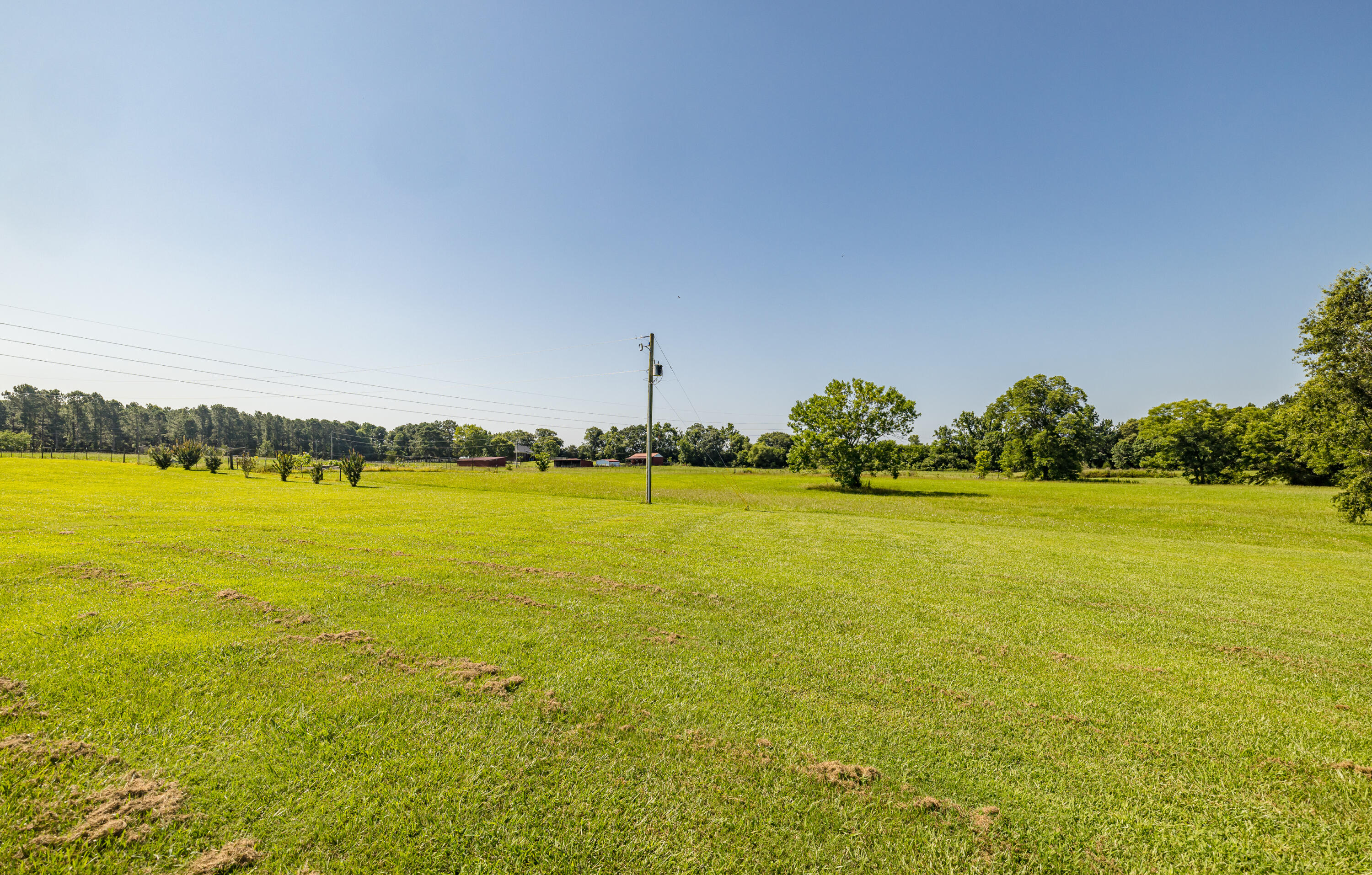 165 Lanier Road Johnston, SC 29832 - Photo 71 of 75 165LanierRd-71