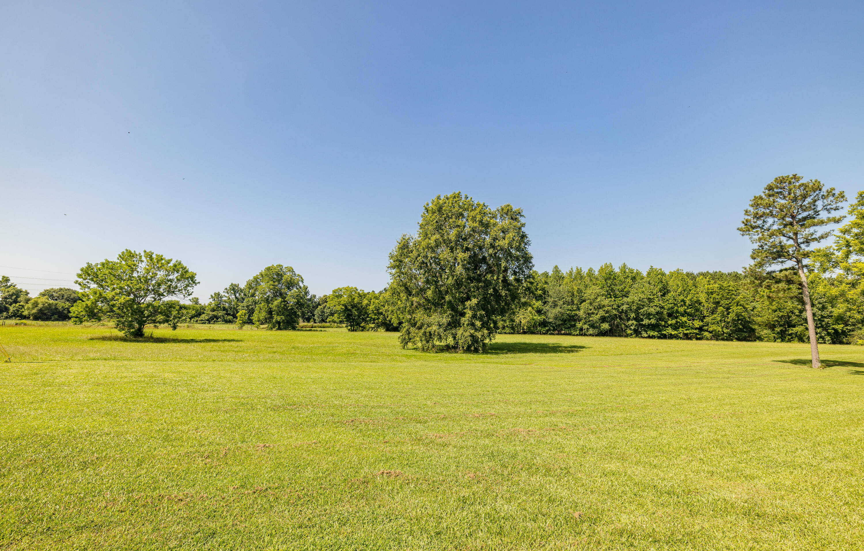 165 Lanier Road Johnston, SC 29832 - Photo 72 of 75 165LanierRd-72