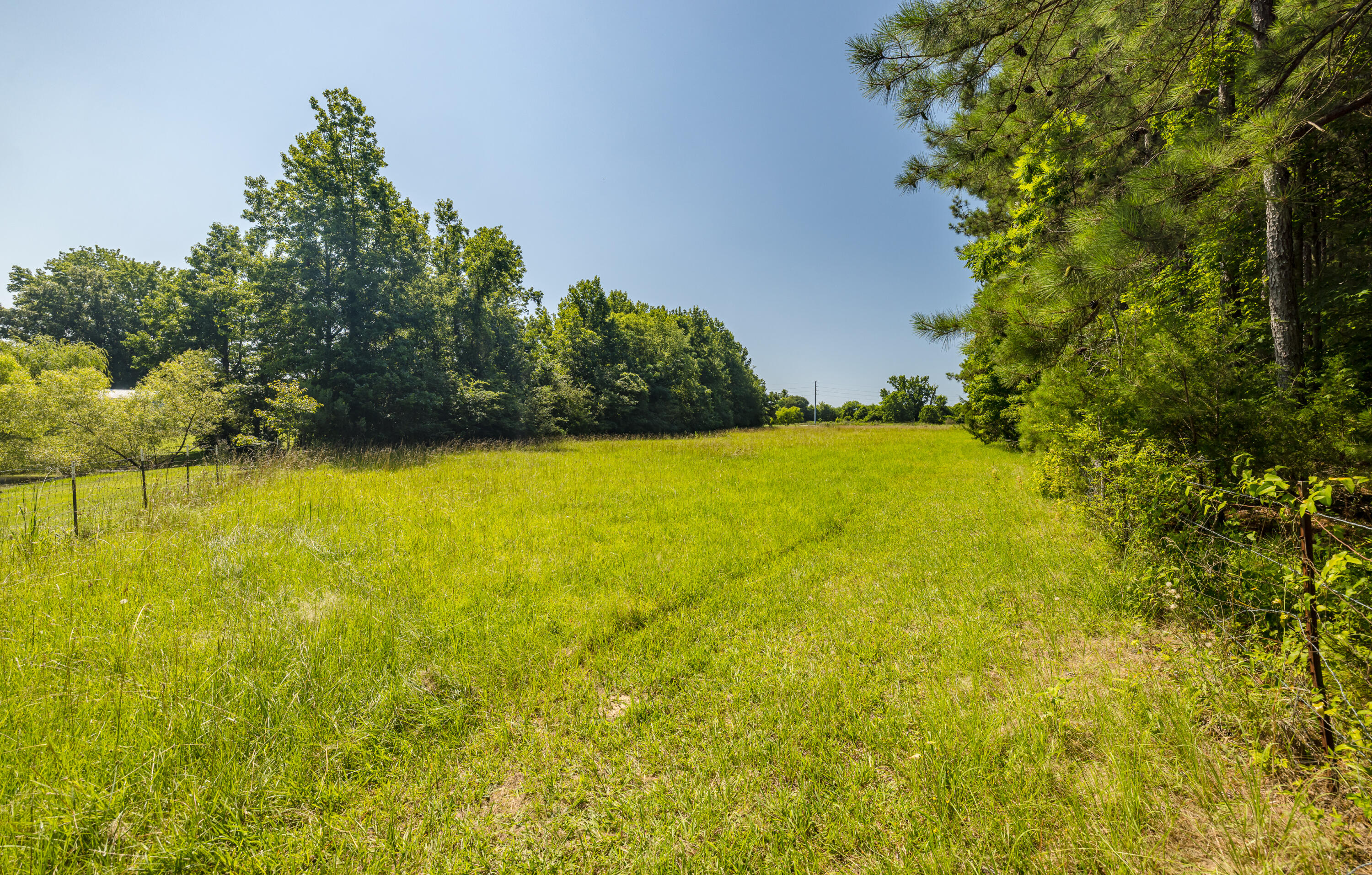 165 Lanier Road Johnston, SC 29832 - Photo 73 of 75 165LanierRd-73