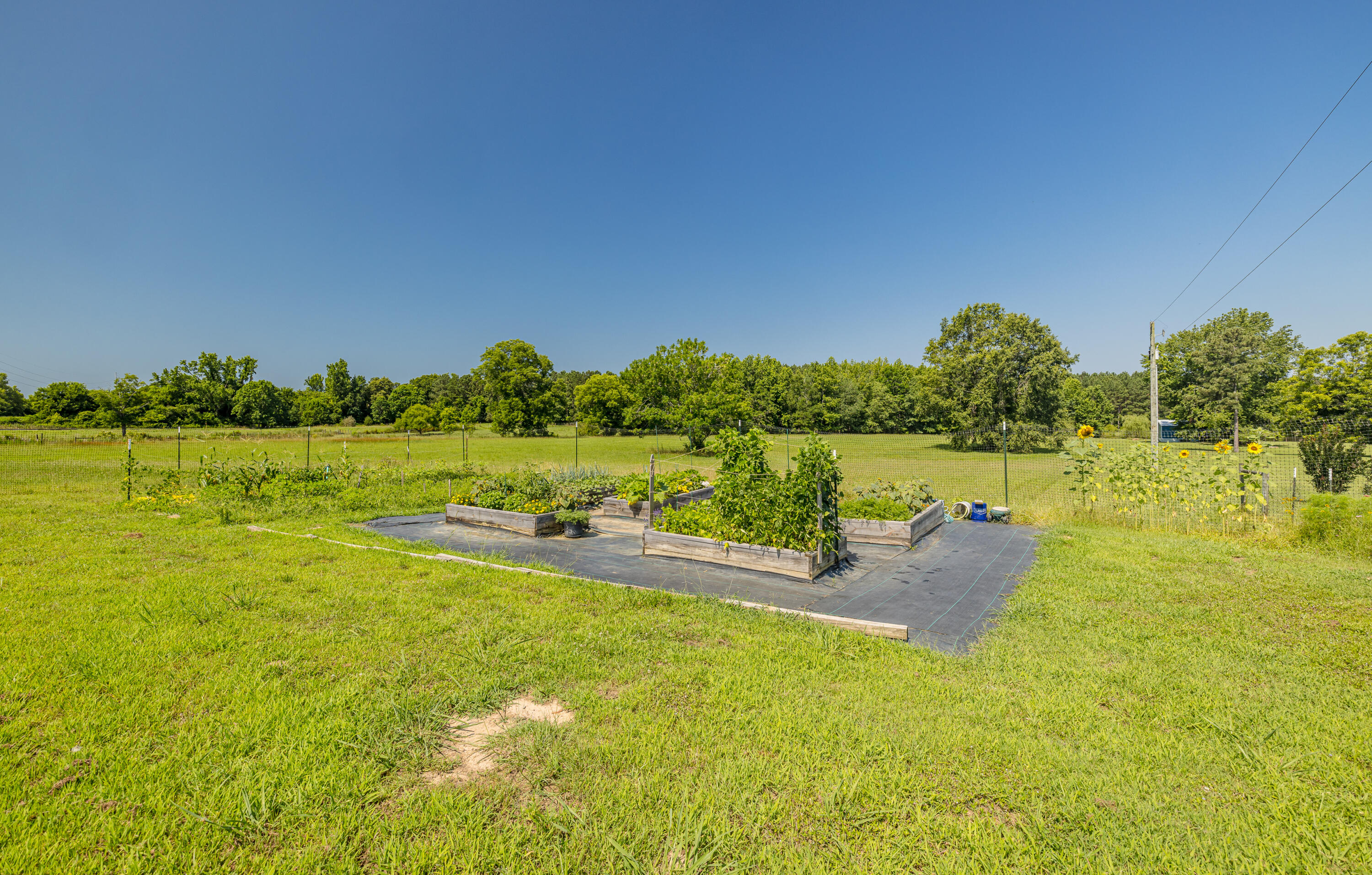 165 Lanier Road Johnston, SC 29832 - Photo 74 of 75 165LanierRd-74