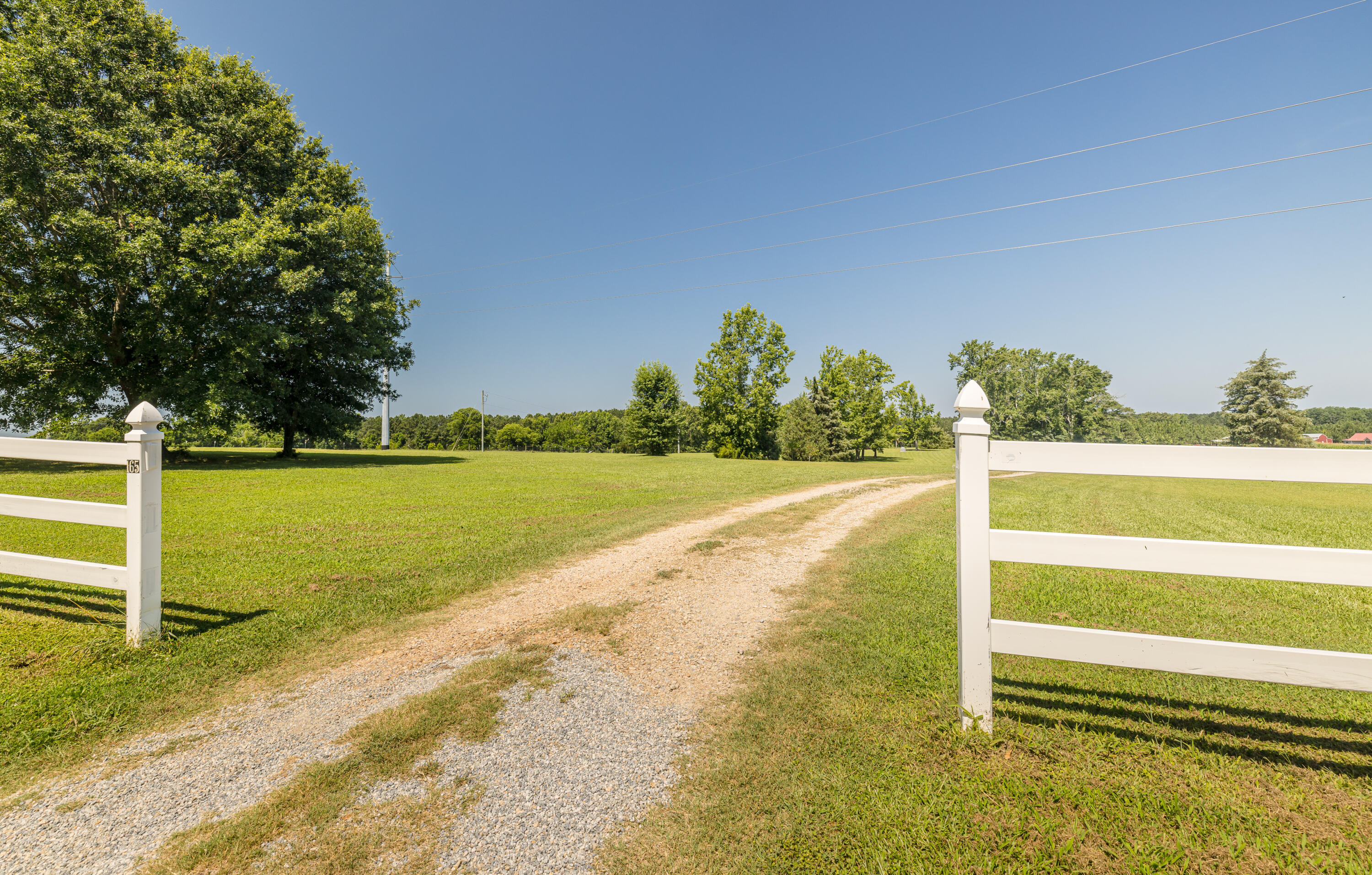 165 Lanier Road Johnston, SC 29832 - Photo 75 of 75 165LanierRd-75