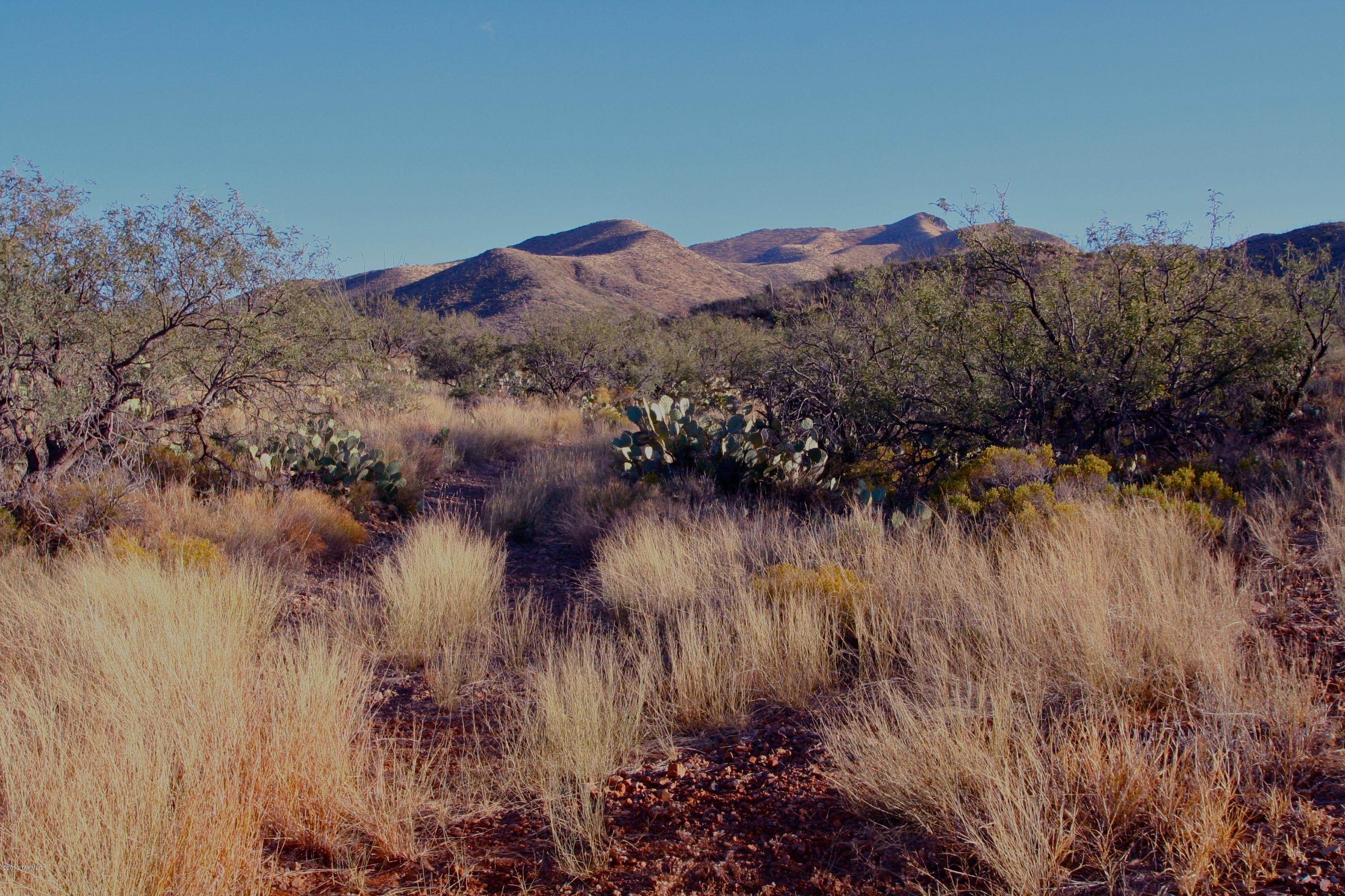 South Little Fawn Vail, AZ 85641 - Photo 2 of 12