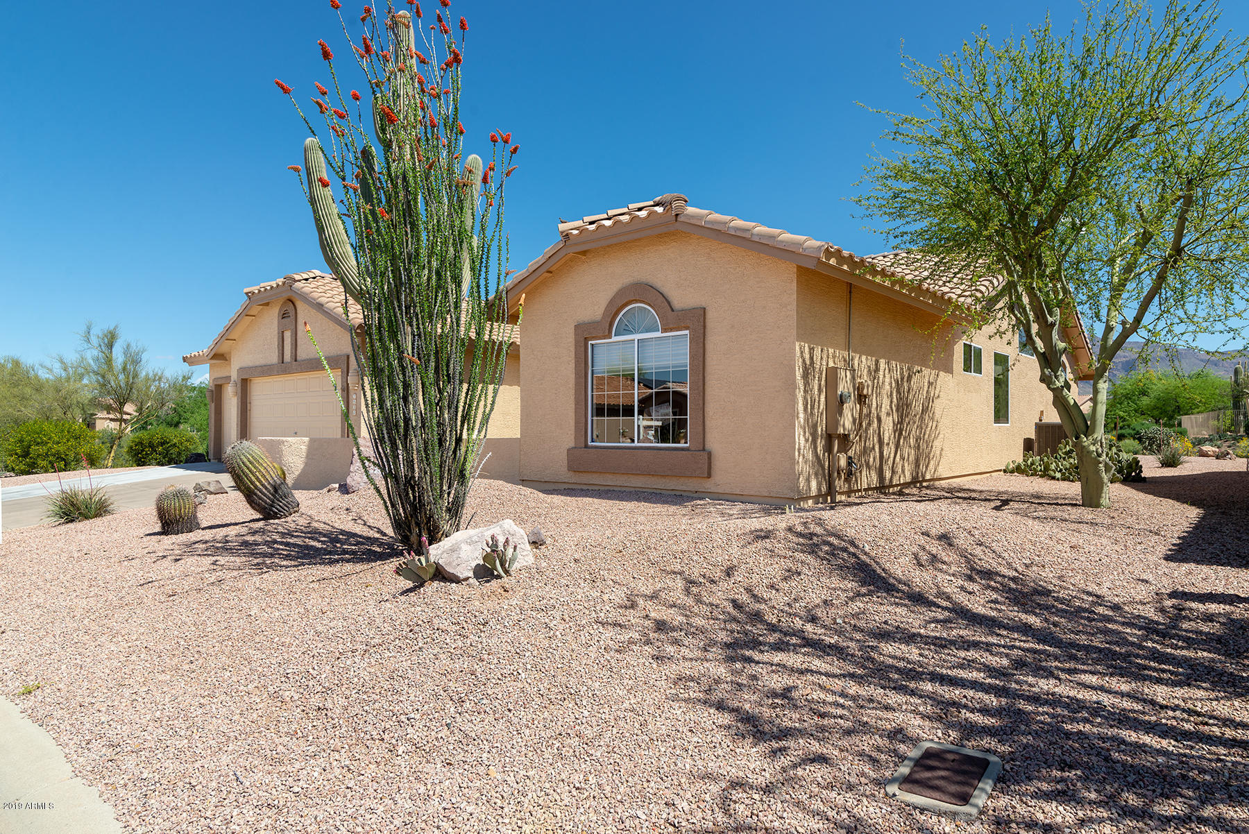 7530 Rugged Ironwood Road Gold Canyon, AZ 85118 - Photo 29 of 42 DSC_0862