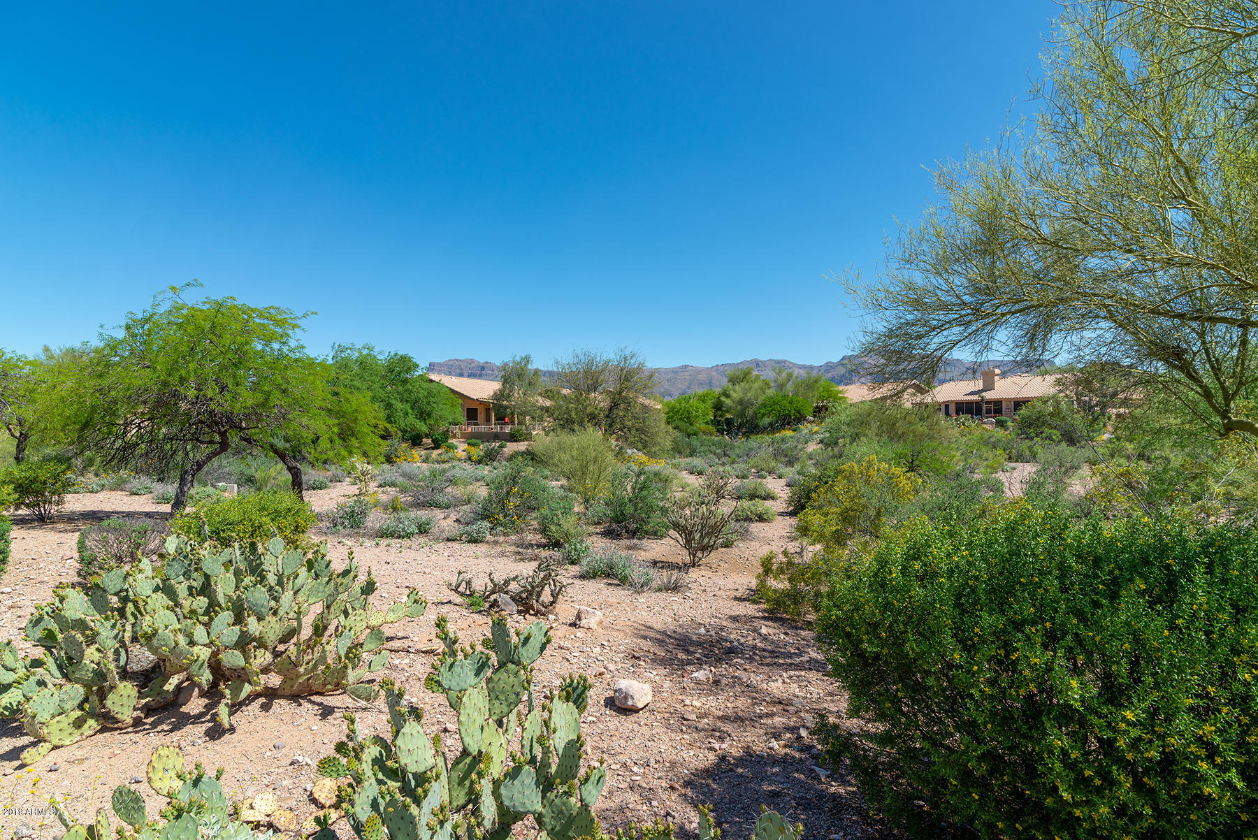 7530 Rugged Ironwood Road Gold Canyon, AZ 85118 - Photo 37 of 42 DSC_0838