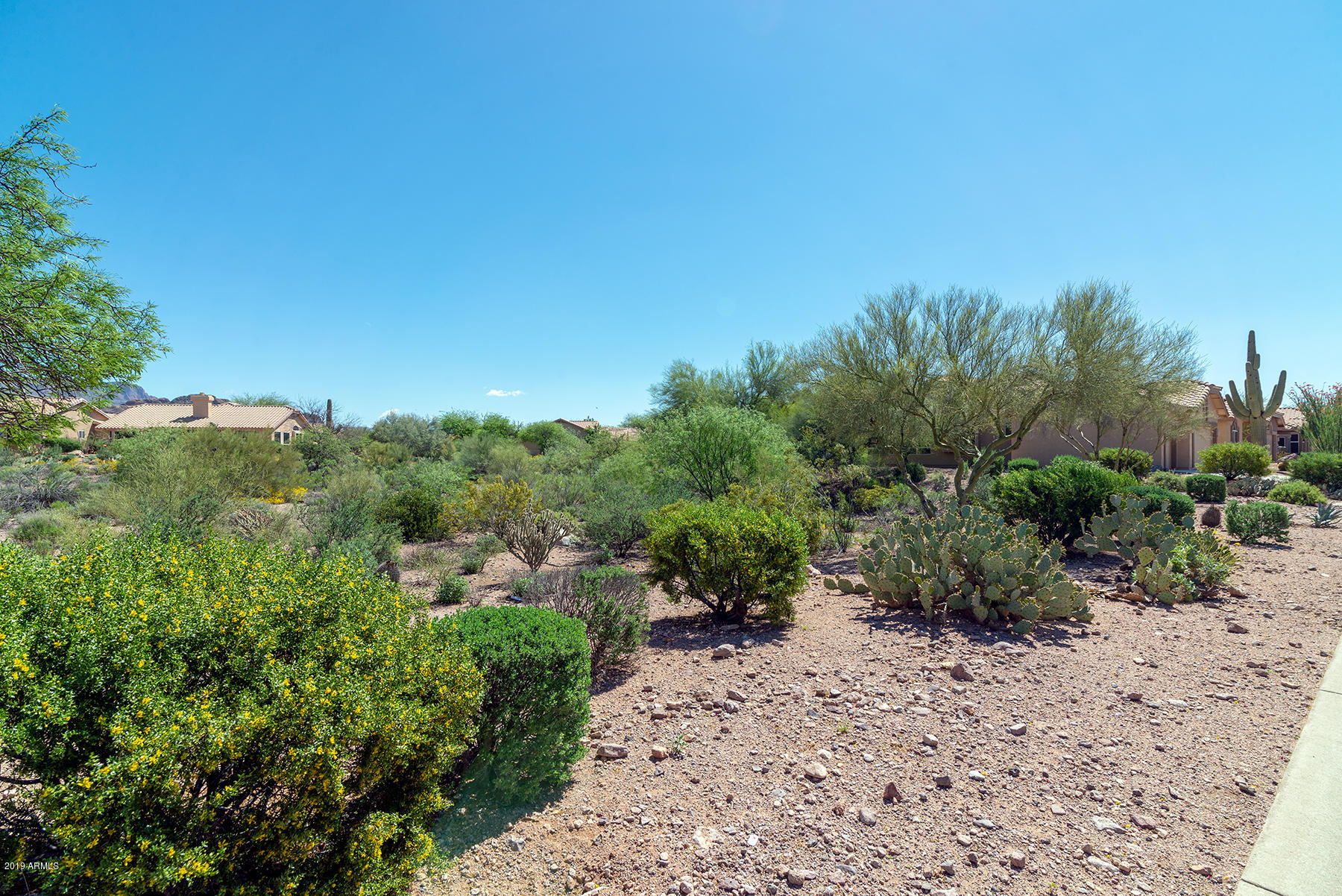 7530 Rugged Ironwood Road Gold Canyon, AZ 85118 - Photo 38 of 42 DSC_0837