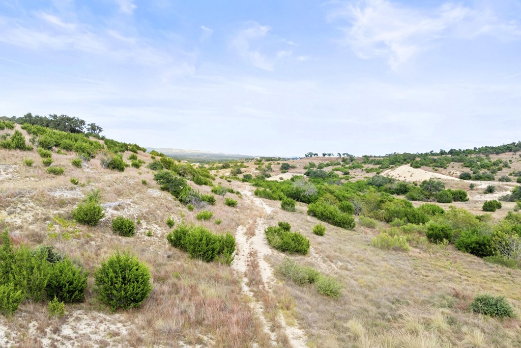 Lot 112 Star Point Circle, Unit 112 Blanco, TX 78606 - Photo 12 of 25 a view of a city with green space