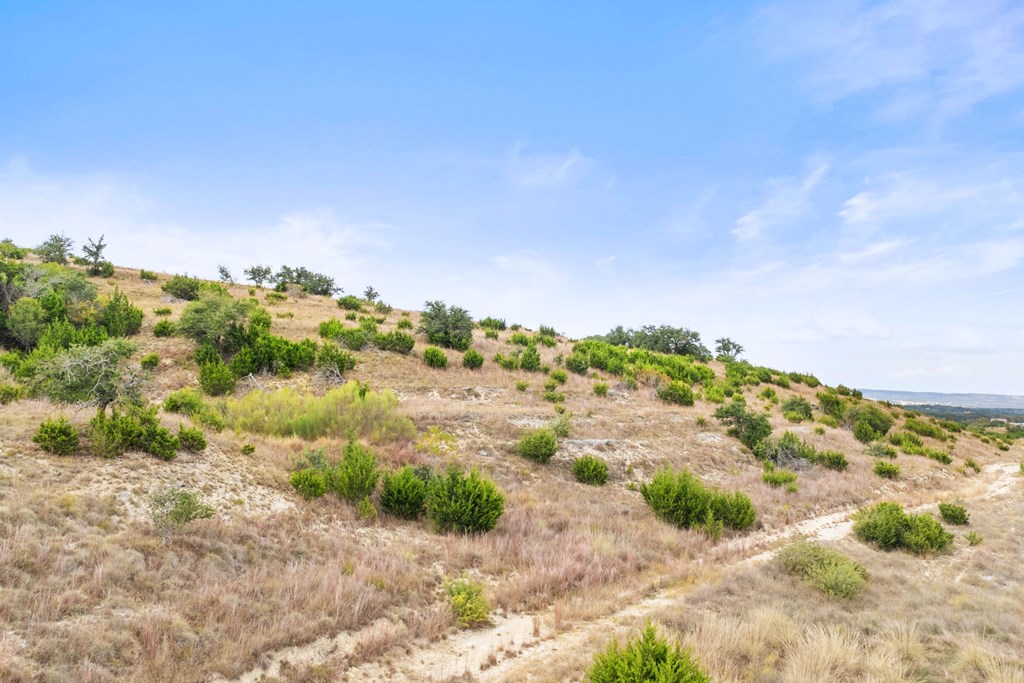 Lot 112 Star Point Circle, Unit 112 Blanco, TX 78606 - Photo 13 of 25 a view of a yard with a house