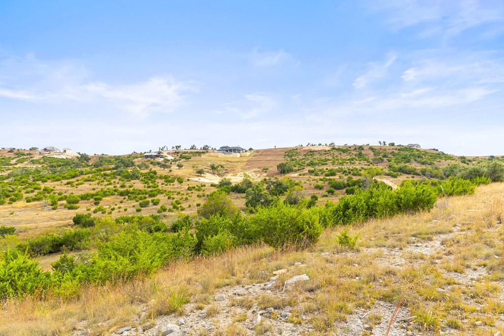Lot 112 Star Point Circle, Unit 112 Blanco, TX 78606 - Photo 9 of 25 a view of lake with green space