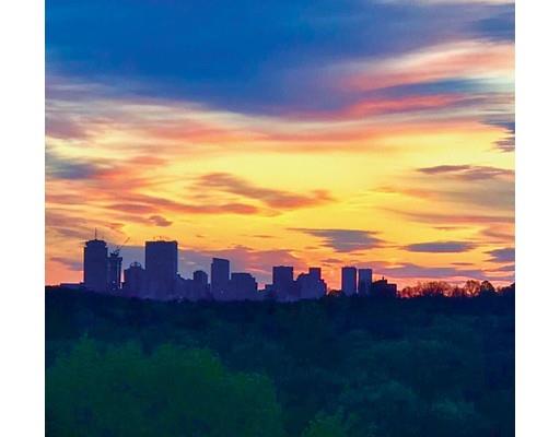 29 Shaw Road Brookline, MA 02467 - Photo 16 of 16