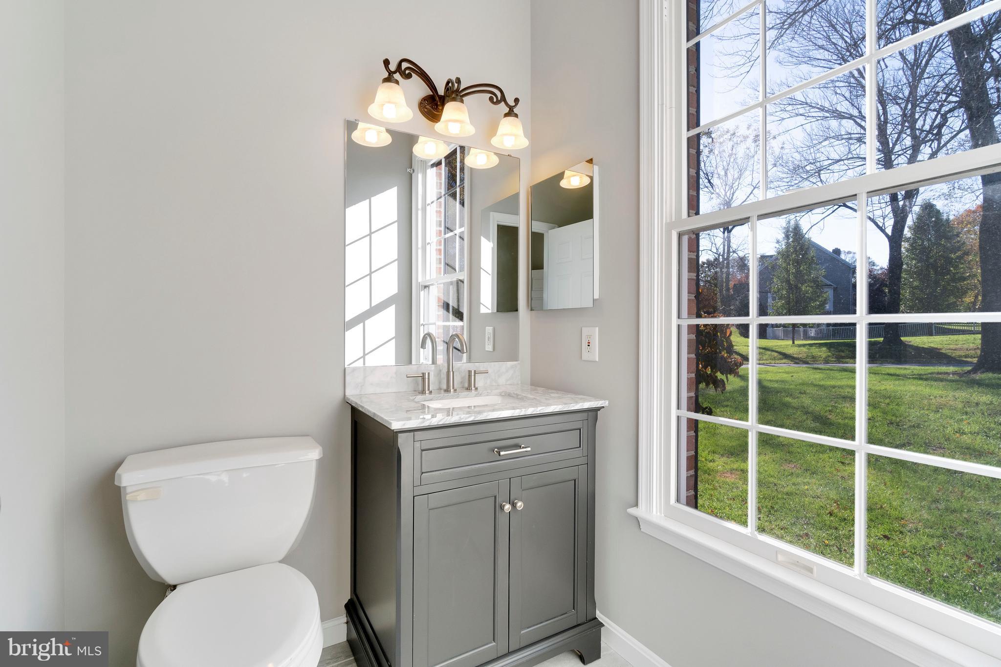 2220 Monkton Road Monkton, MD 21111 - Photo 22 of 45 a bathroom with a toilet a sink and a mirror
