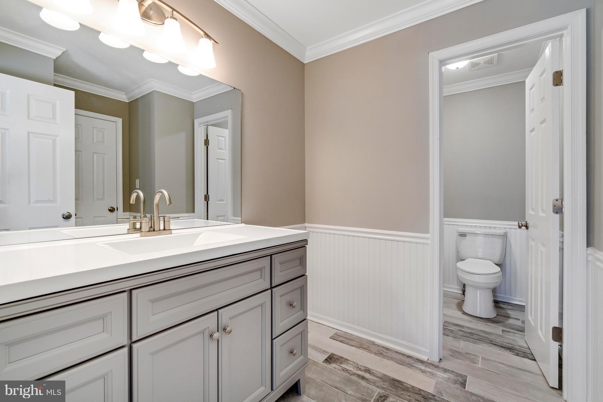 2220 Monkton Road Monkton, MD 21111 - Photo 39 of 45 a bathroom with a sink a toilet and a mirror