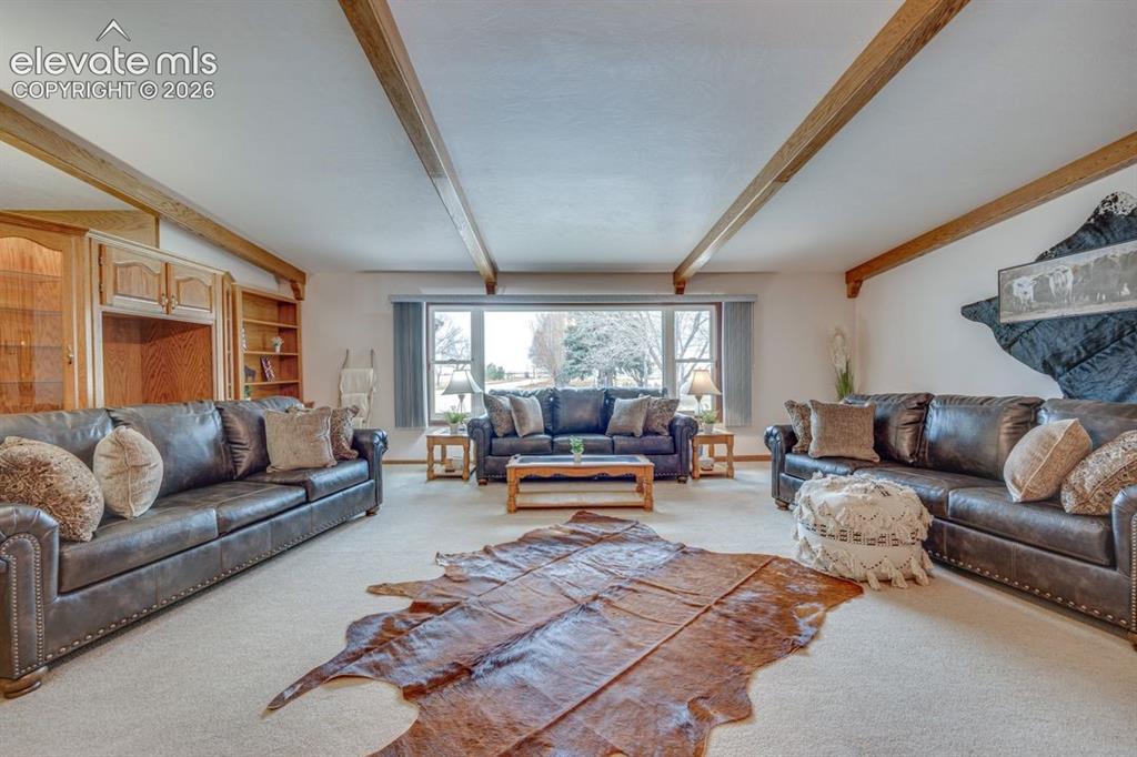 24760 Jones Road Calhan, CO 80808 - Photo 5 of 20 Spacious living room