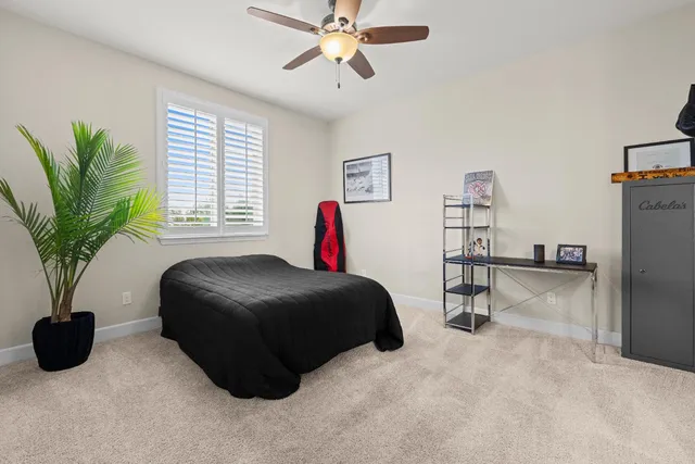 a bedroom with a bed and a potted plant