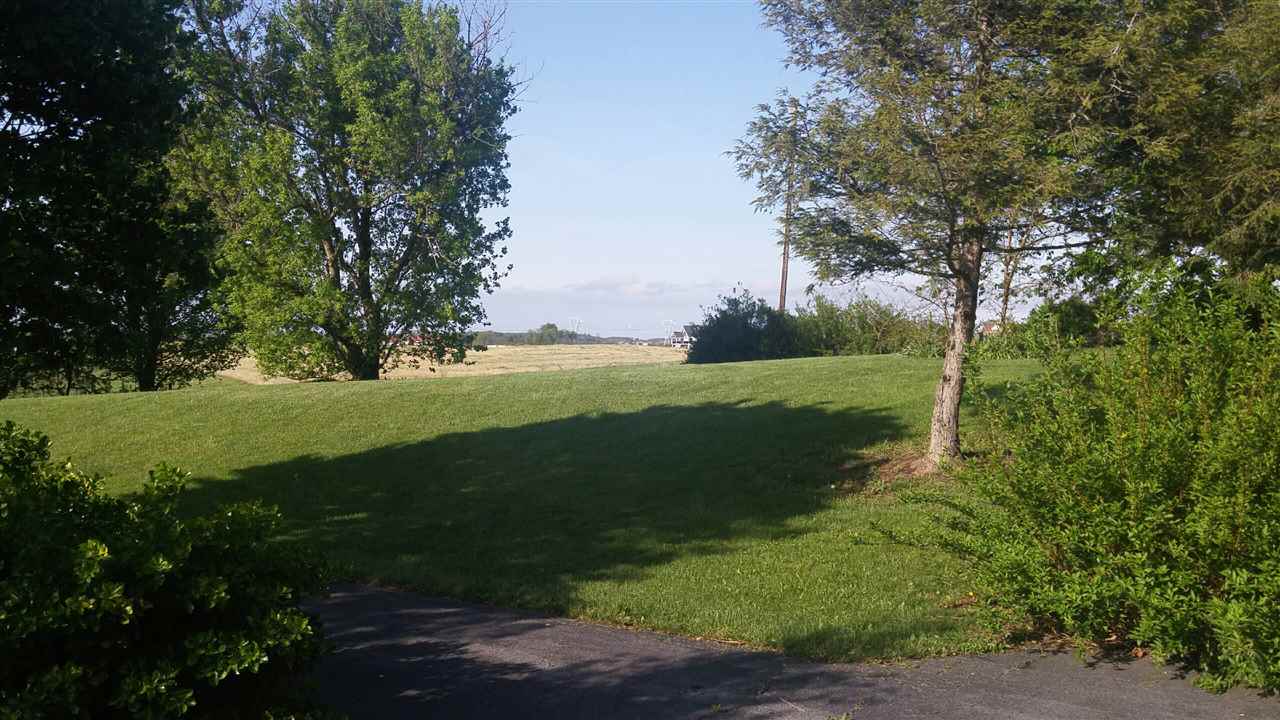 1497 Tinkling Spring Road Staunton, VA 24401 - Photo 30 of 31 a view of a park with large trees