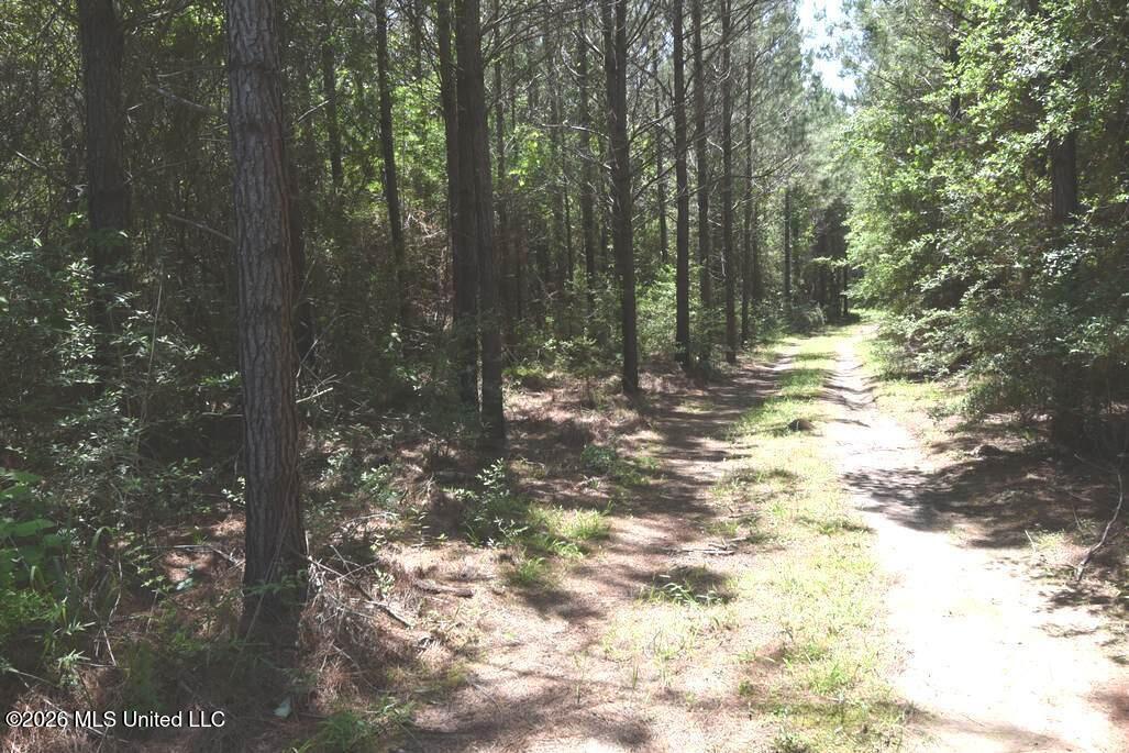 0 Miller Road Olive Branch, MS 38654 - Photo 14 of 26 5-15-2025-7-19-43-AM