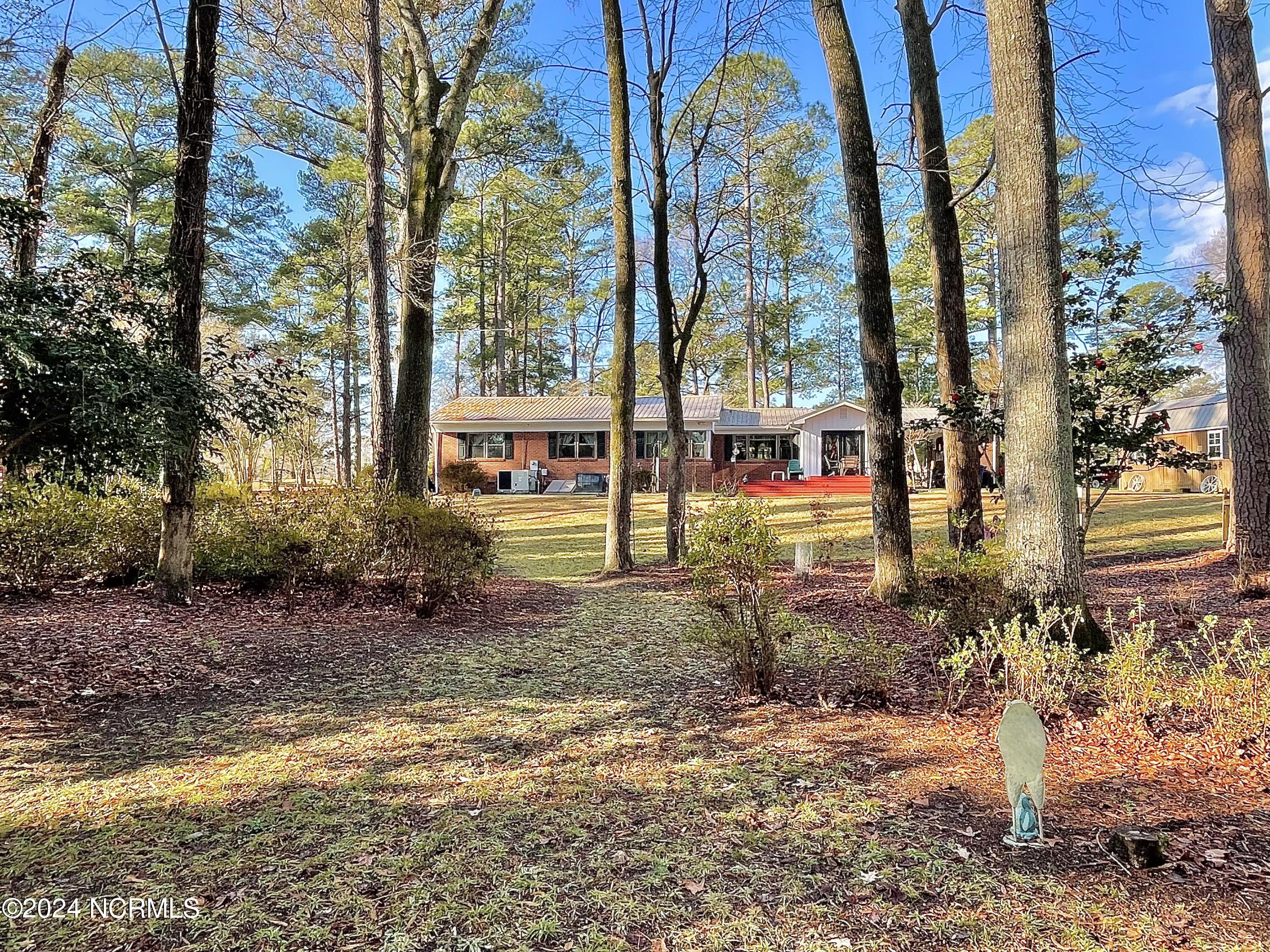 310 Golf Road Plymouth, NC 27962 - Photo 53 of 69 Back Yard