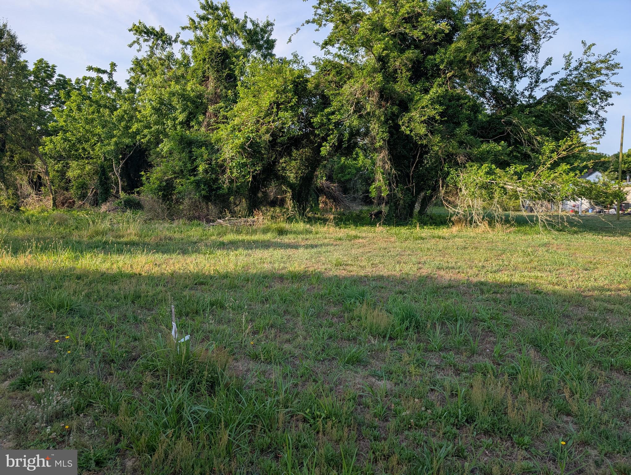 0 Camelia Road Berlin, MD 21811 - Photo 1 of 2