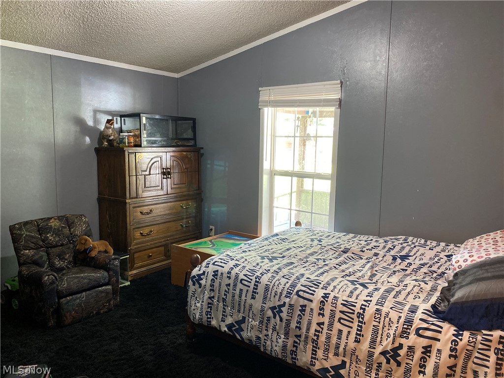 140 Skyles Rd Street St. Marys, WV 26170 - Photo 15 of 20