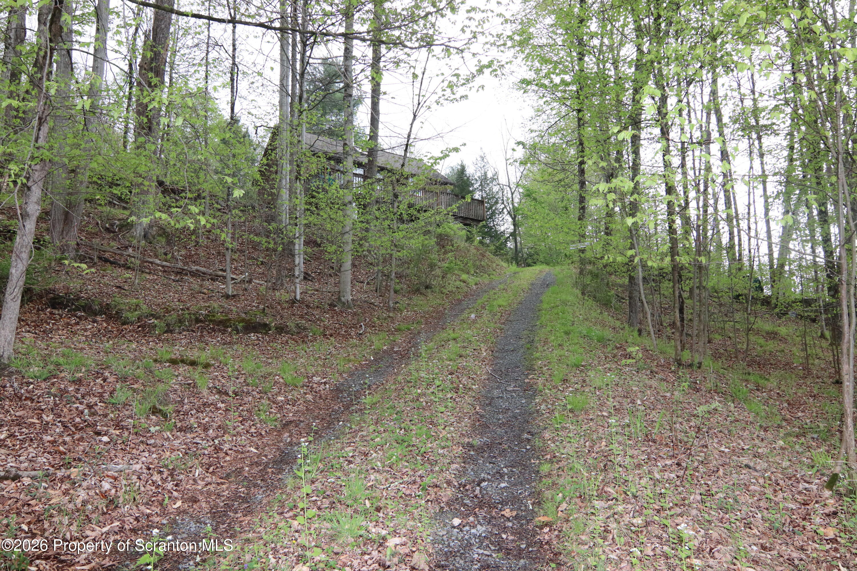 300 Pennsworth Hill Road Meshoppen, PA 18630 - Photo 30 of 38 a view of a forest that has large trees