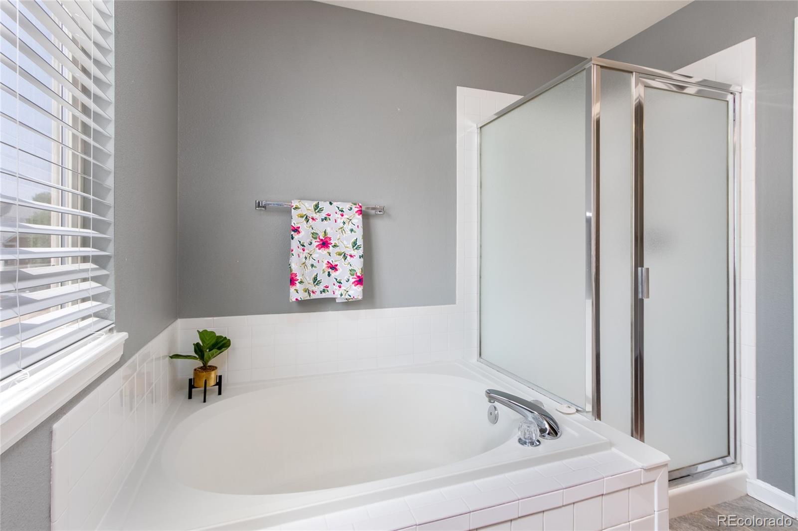 9875 West Castle Ridge Court Highlands Ranch, CO 80129 - Photo 26 of 39 Gallery Image 26