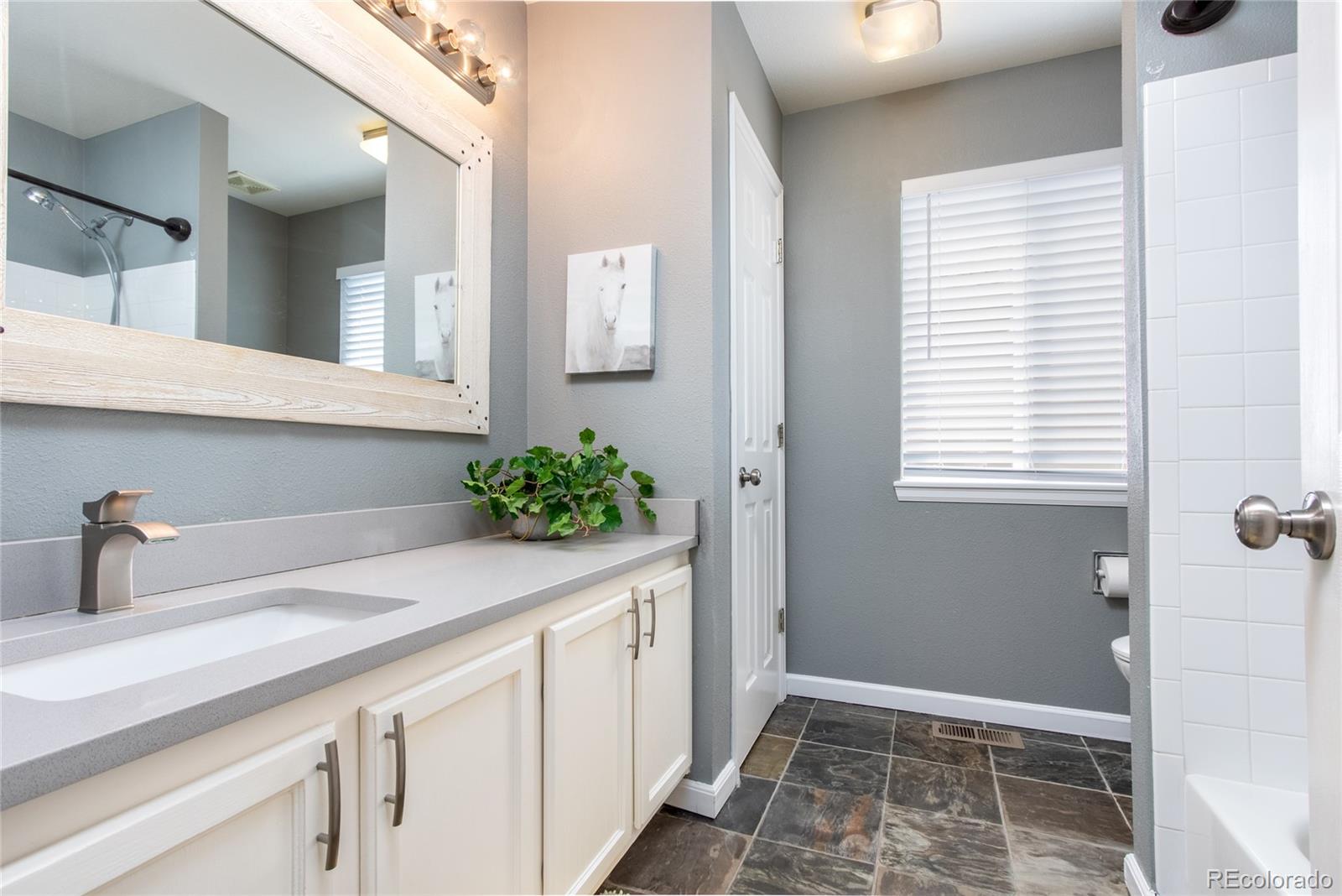 9875 West Castle Ridge Court Highlands Ranch, CO 80129 - Photo 29 of 39 Gallery Image 29