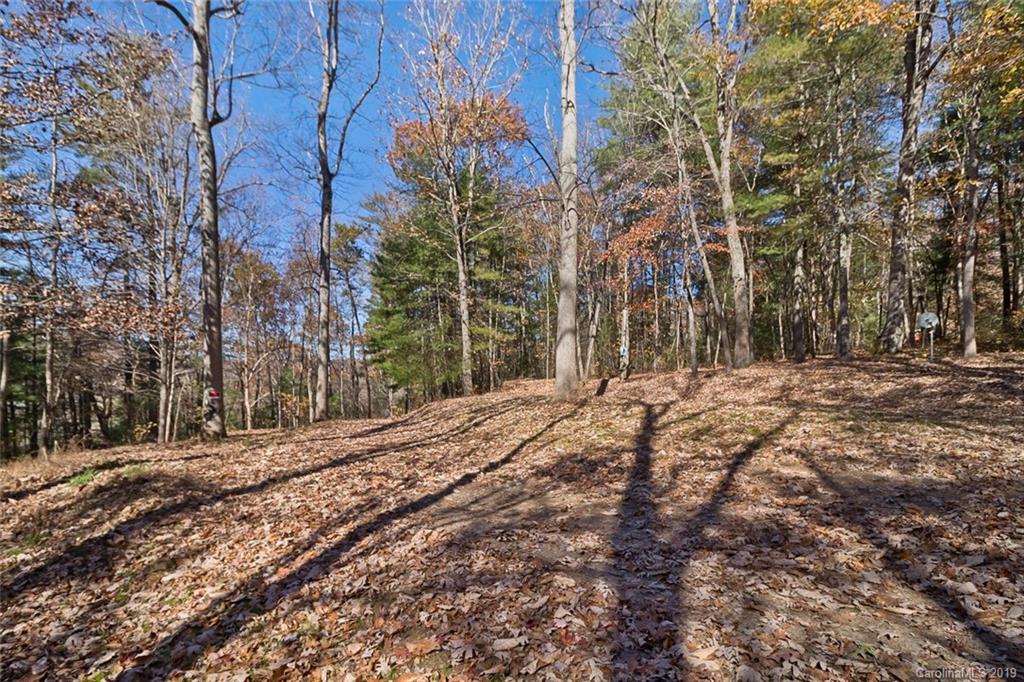 134 Mountain View Road Fairview, NC 28730 - Photo 11 of 16 Gallery Image 11