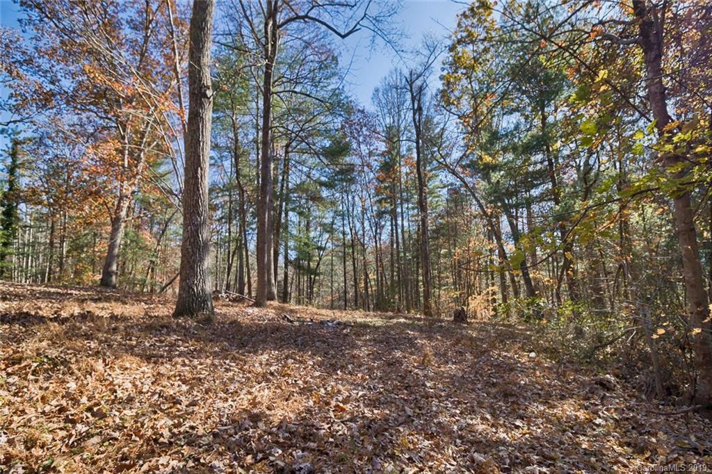 134 Mountain View Road Fairview, NC 28730 - Photo 3 of 16 Gallery Image 3