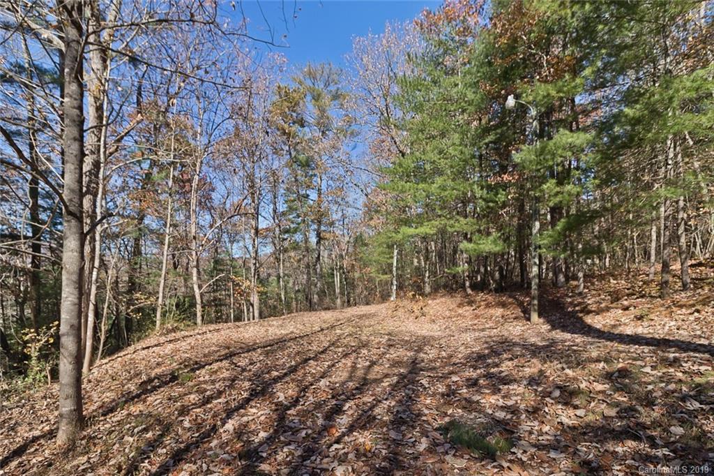 134 Mountain View Road Fairview, NC 28730 - Photo 4 of 16 Gallery Image 4
