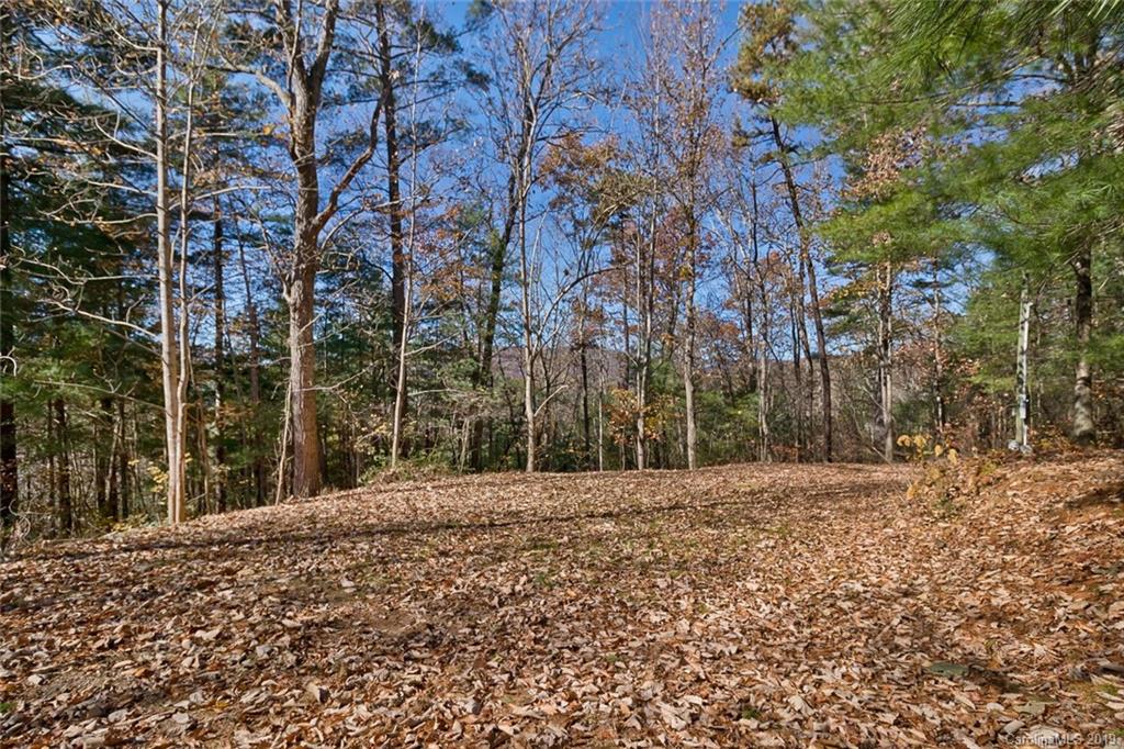 134 Mountain View Road Fairview, NC 28730 - Photo 5 of 16 Gallery Image 5
