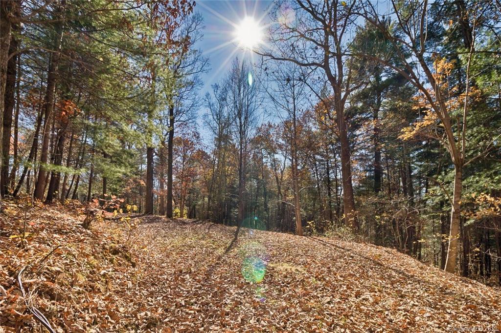 134 Mountain View Road Fairview, NC 28730 - Photo 6 of 16 Gallery Image 6